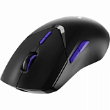 Мышь компьютерная RAPOO игровая, проводная/беспроводная VT9Pro4K - черный