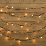 Гирлянда светодиодная Твинкл Лайт 10м, тем-зел ПВХ, 80LED,Теп бел 303-046