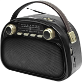 Радиоприемник Ritmix RPR-040 Black