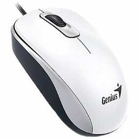 Мышь компьютерная Genius DX-110, USB, оптическая, 1000 DPI 1.5m, белый