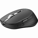Мышь компьютерная Acer OMR310 1600dpi BT/Radio USB 7b(ZL.MCECC.031)черн