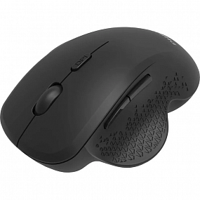 Мышь компьютерная Philips (SPK7624B/60) беспров. 2,4GHz BT 800-1600dpi черн