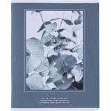 Тетрадь общая, BS, А5, 48л., клетка, скрепка. Botanica, эвк. популус N4166