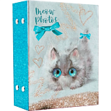 Фотоальбом 100 фото 10х15см,пластикsweet kittens котёнок FA 100.002-1